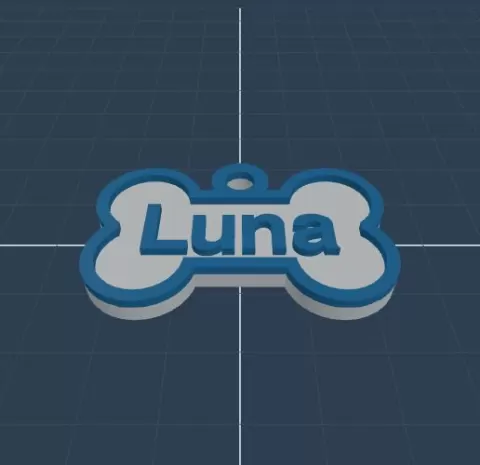 Luna Pet Name Tag