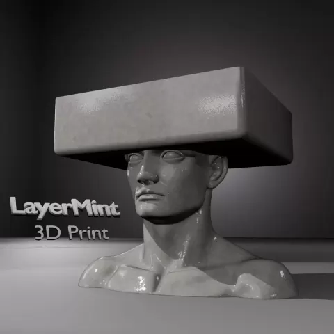 Bust Head Organizer with Modern Geometric Hat – Unique 3D - LayerMint