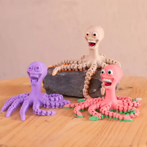 CRAZY OCTOPUS by Rogi Studios