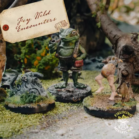 Hazelands Encounters - Trollrock, Frog Gentleman and Running gold pouch + Character Cards by Tine Fieldling