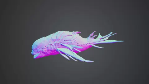 SPACE DOLPHIN
