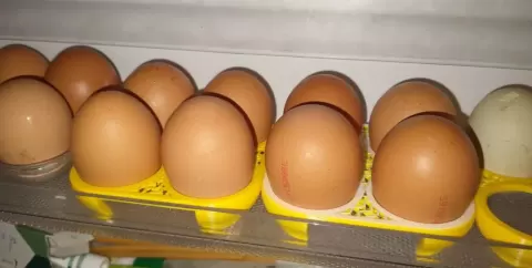 Egg tray