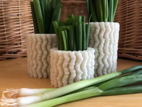 Ramen Vase (Small)