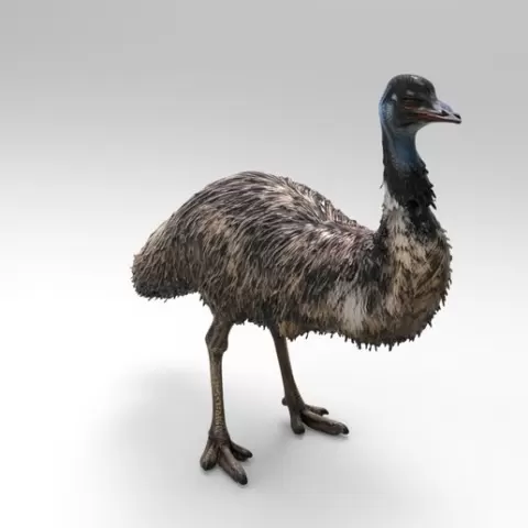 1/32 Scale Standing Emu - Realistic Exotic Bird Figure for Slot Car Diorama, Farm & Wildlife Miniature Scene