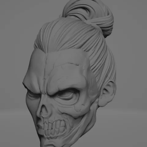 Absolute Two Face Headsculpt STL 1 12