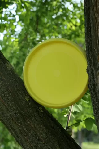 FLEXFETCH DISC