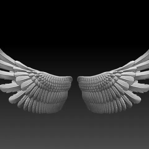 WINGS by Dmitry Tishchenkov