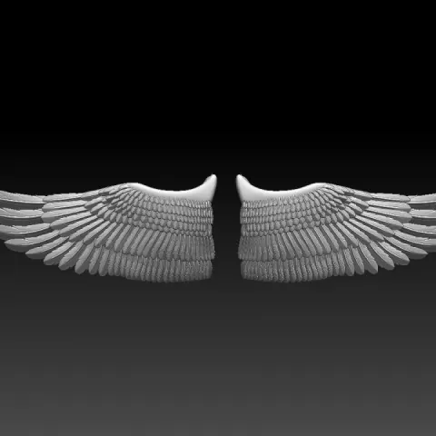 WINGS by Dmitry Tishchenkov
