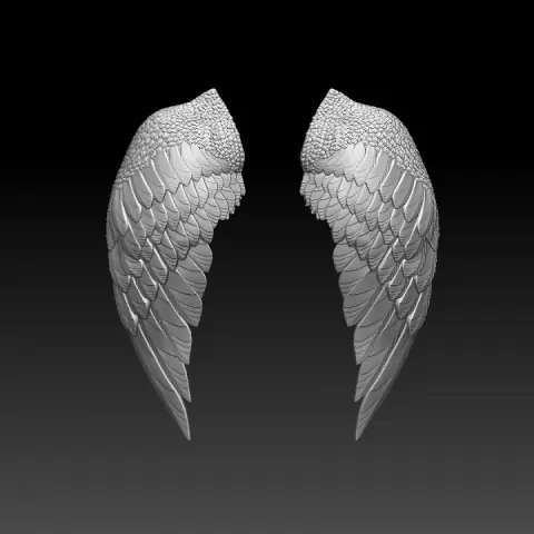 WINGS by Dmitry Tishchenkov