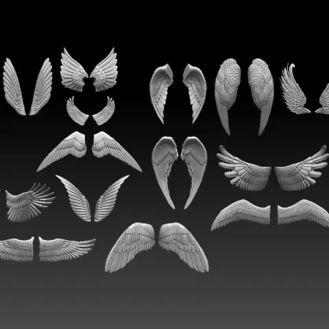 wings by Dmitry Tishchenkov