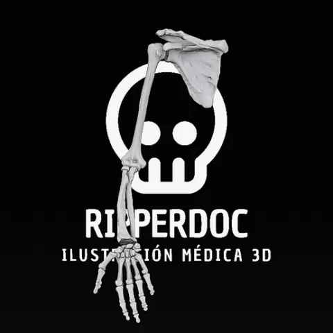 Upper Limb