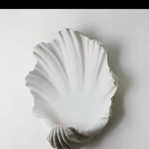 Shell Candle holder