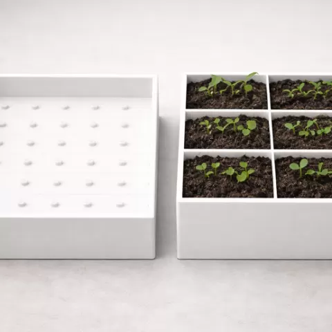 Germination tray