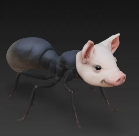 porky spider