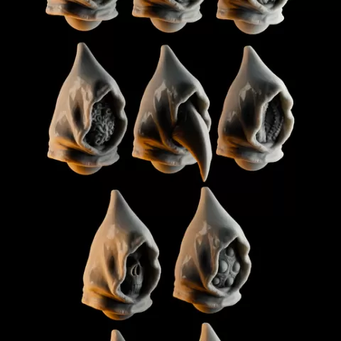 MAL35 - The Hooded 2