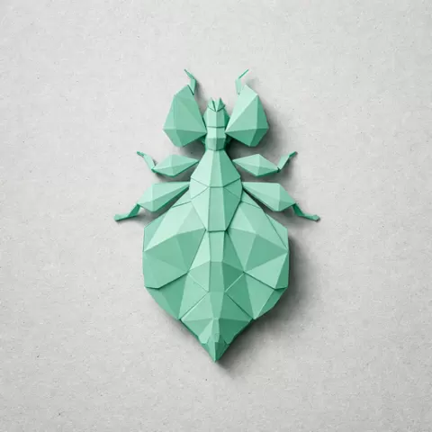 Geometric Leaf Insec