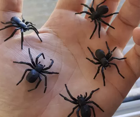 Black House Spider For Halloween