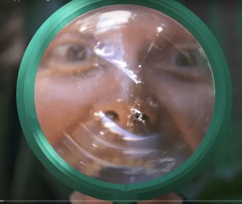 Giant Magnifying Glass!