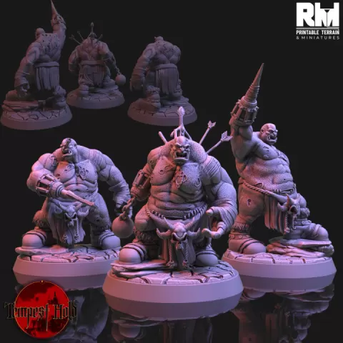 Tempest Hold Zombie Ogres by RMPrintable