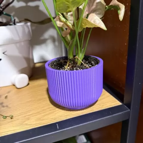 Striped Flowerpot
