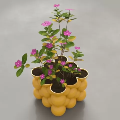 cube spheres plantpot