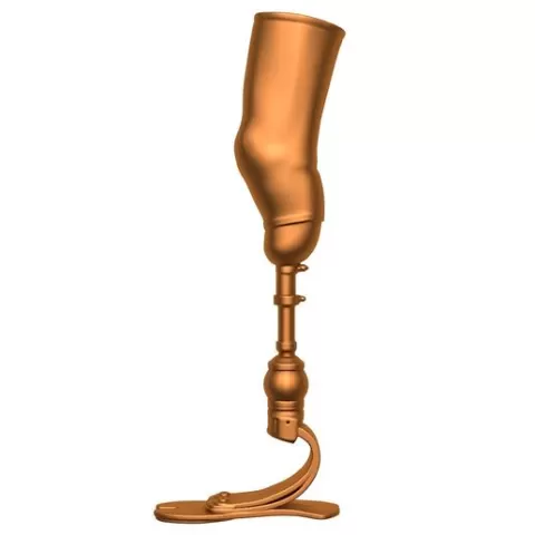 Feet and Ankles / mechanical leg / leg printer / medical leg / leg stl / Running Prosthetics Foot