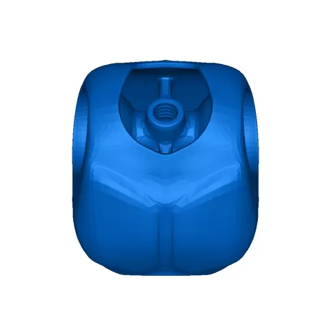 torso