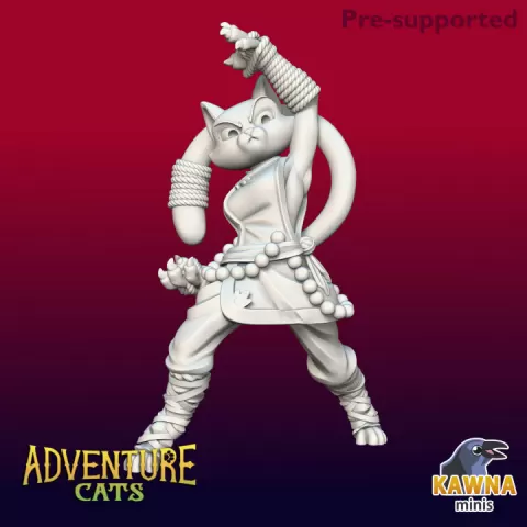 Monk Cat by Kawna Minis