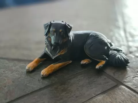 Gelbbacke (Altdeutscher Hütehund)