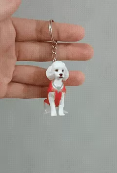 Poodle with Ropita keychain!