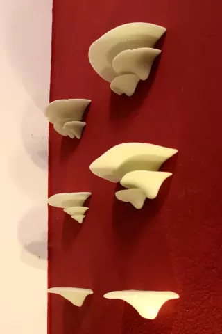 Mushroom Shelves with sturdy wall mount | Fungus Shelf