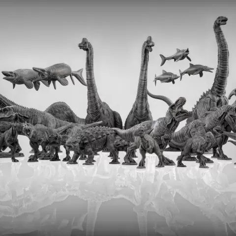 Dinosaur Bundle by Duncan Shadow