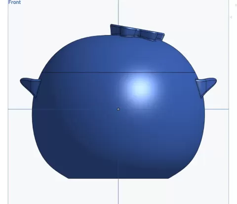 Blueberry Container