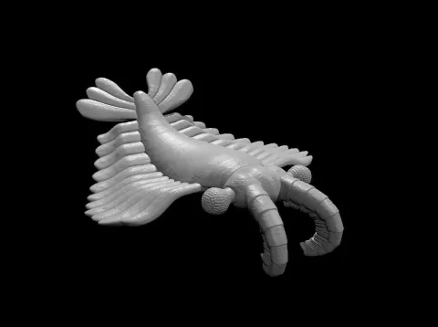 Anomalocaris