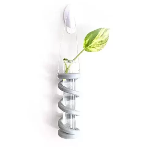 Growth Spiral Test Tube Holder for Plant Propagation - Royalty-Free