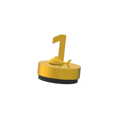 1st Trophy