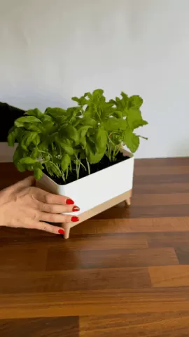 TRUHLIK Herb Planter