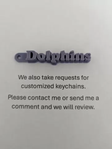 Miami Dolphins Keychain - Trash Can Guy