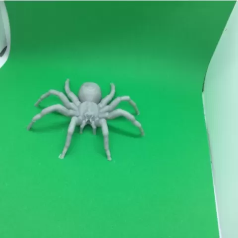 Spider by Paul