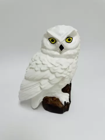 Snowy Owl (Hedwig) with flat bottom