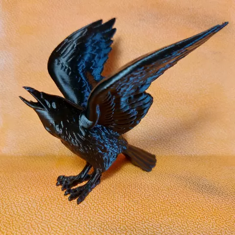 Supportless Raven - Halloween 2023