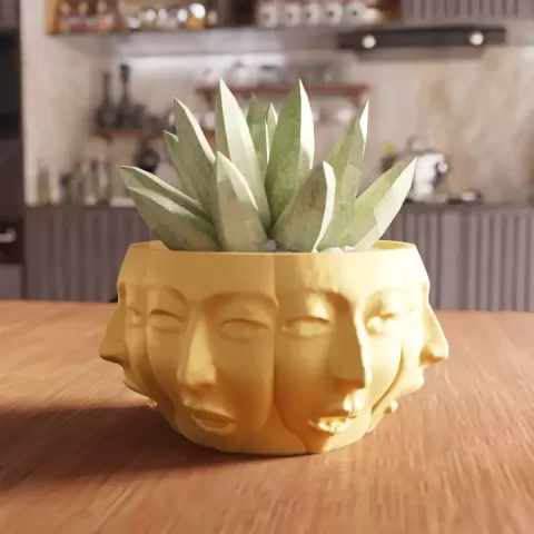 Surrealist Multi Face Overlapping Planter