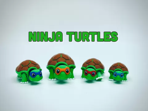 NinJa Turtles
