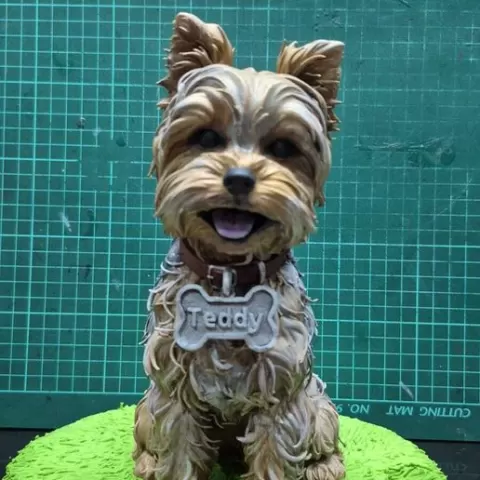 Yorkshire Terrier