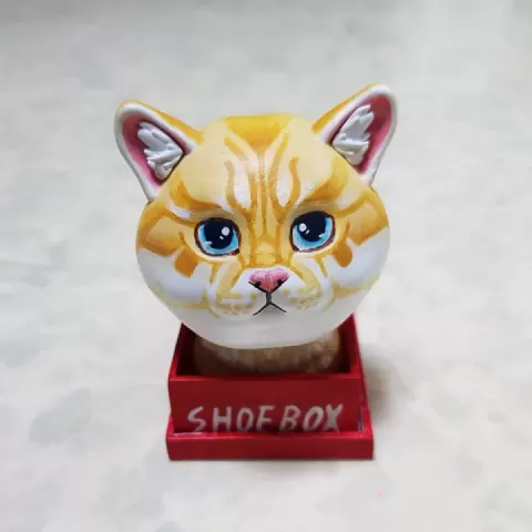 ShoeBoxCat by Gregory.K.Byun