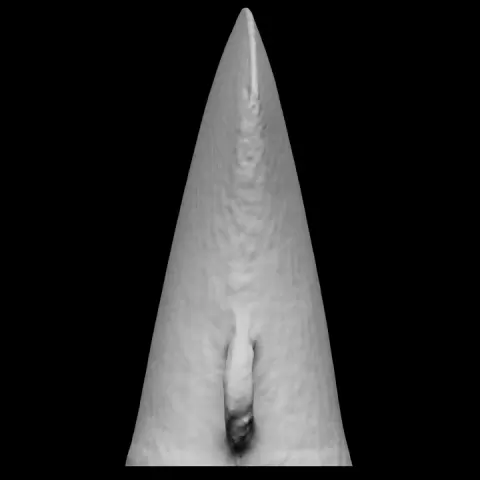 Axe Head by The Hunt Museum