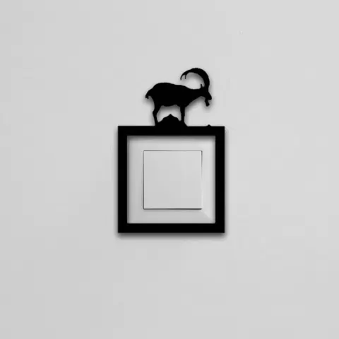 Switch Frame Decor - OALPO