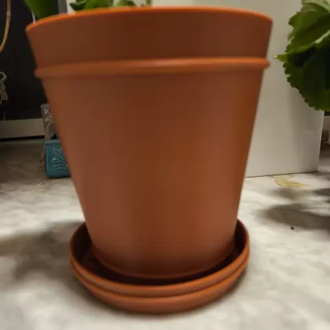 vaso per piante con sottovaso
