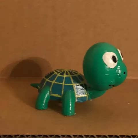 Turtle by Jason Mackey