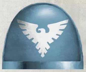 Accipiters Chapter ShoulderPads